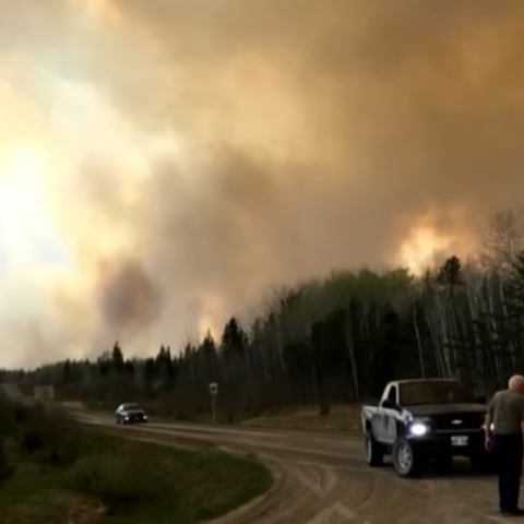 καπνος, φωτιες, δασος