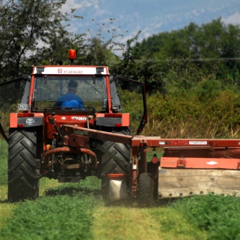 τρακτερ, χωραφι