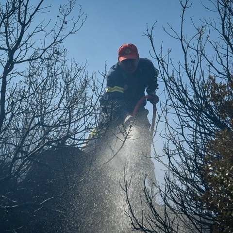 πυροσβεστες, φωτια, δασος