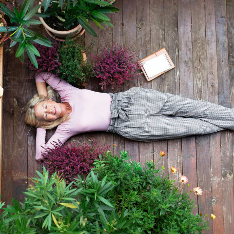 Αναρριχώμενα φυτά για φυσική απομόνωση στο μπαλκόνι σου