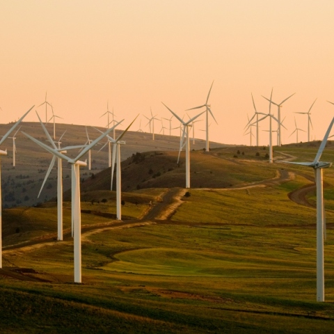 ολανδια, ανεμοεννητριες