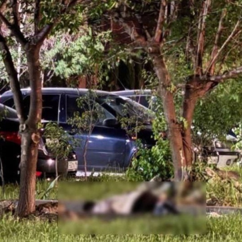 Ρωσία, δεντρα, πτωμα