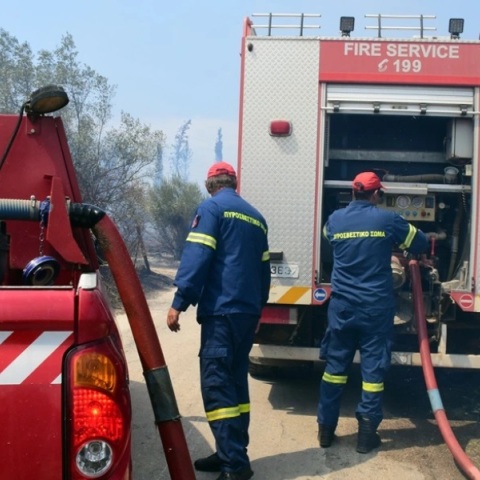 φωτιά, πυροσβεστες, δασος