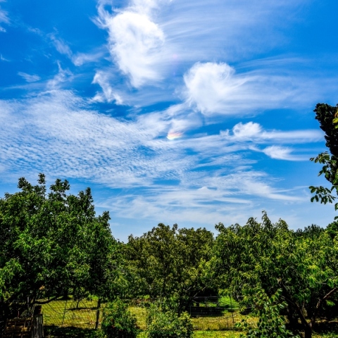 Καιρός, ουρανος, συννεφα, δεντρα