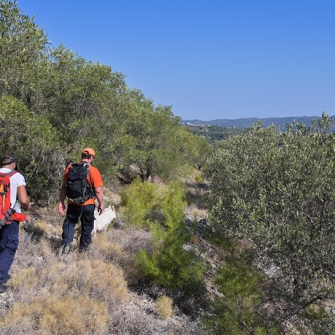 Κρήτη: Άφαντη για 5η ημέρα η 65χρονη Ισραηλινή συγγραφέας - Εντατικές έρευνες για τον εντοπισμό της