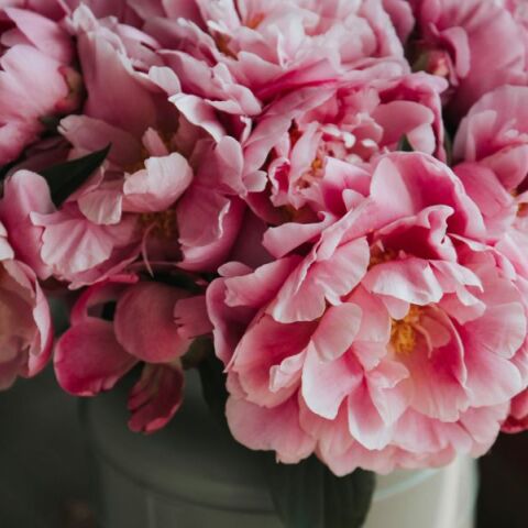 Εορτολόγιο