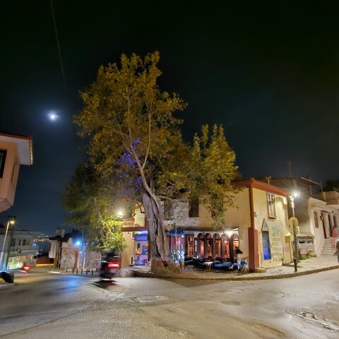 Ο Πλάτανος της Άνω Πόλης