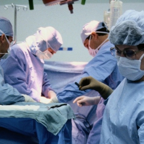 Άραχθος, μεταμόσχευση 