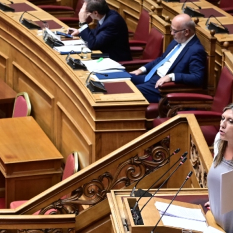 Γεωργιάδης, Φλωρίδης, Κωνσταντοπούλου, Βουλη