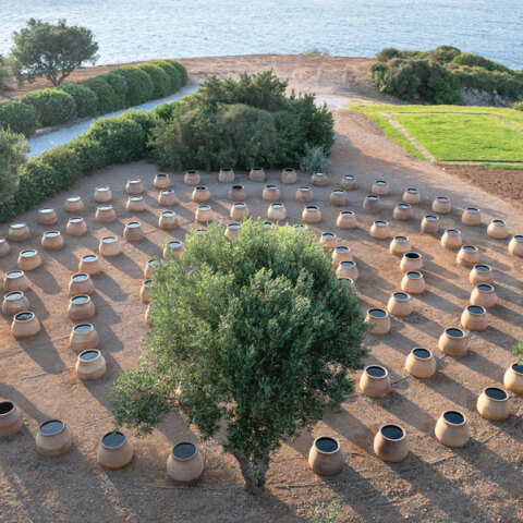 Δανάη Στράτου / «Ενάρετη Σπείρα»