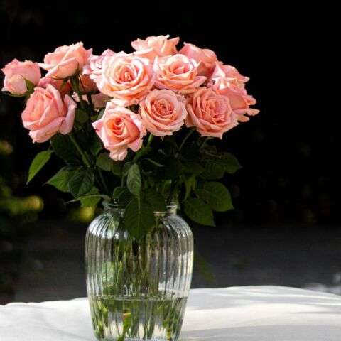 Εορτολόγιο: Σήμερα 30 Σεπτεμβρίου 2025 γιορτάζει…