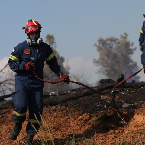 φωτιά, Ευκαρπία Θεσσαλονίκης