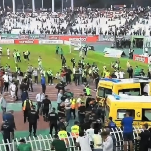 Αλγερία, γηπεδο, οπαδοι