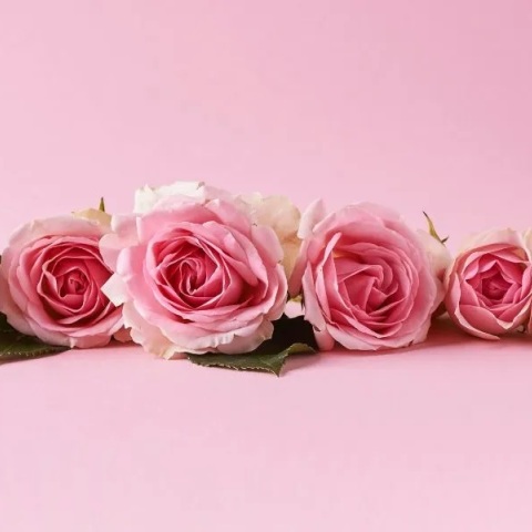 Εορτολόγιο, λουλουδια