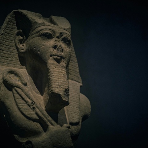 Από την «Κατάρα των Φαραώ» στη θεραπεία της λευχαιμίας: Ο μύκητας που μετατρέπεται σε φάρμακο