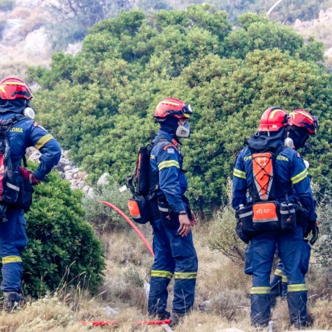 πυρκαγιά, πυροσβεστες