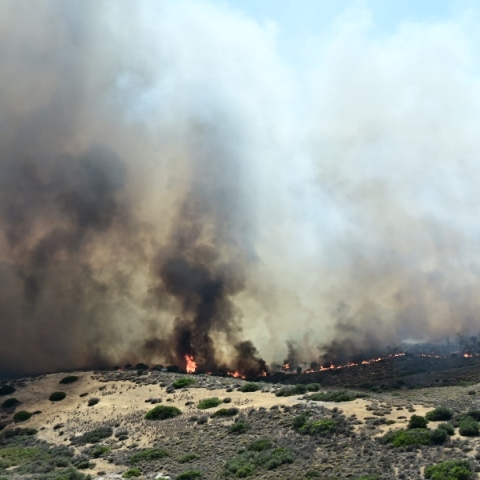 Πυρκαγιά στην Παλαιά Φώκαια