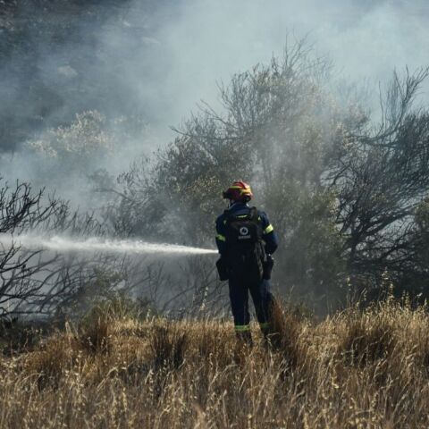 Καλύτερη η εικόνα της φωτιάς στην Παλαιά Φώκαια