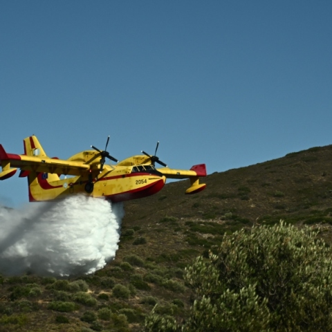 φωτιά, πυροσβεστική 