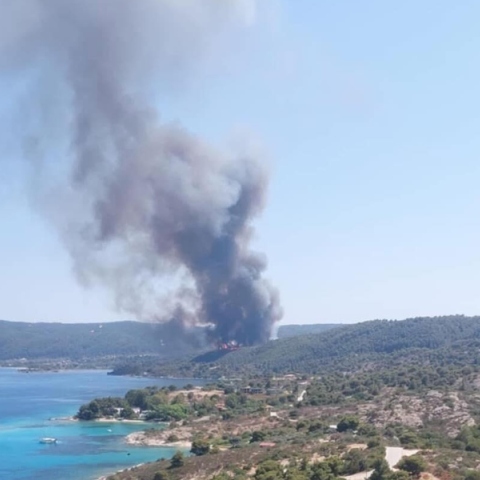 φωτια, χαλκιδικη