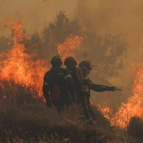 Φωτιά στην Ιεράπετρα: Μάχη με τις αναζωπυρώσεις δίνουν οι δυνάμεις πυρόσβεσης