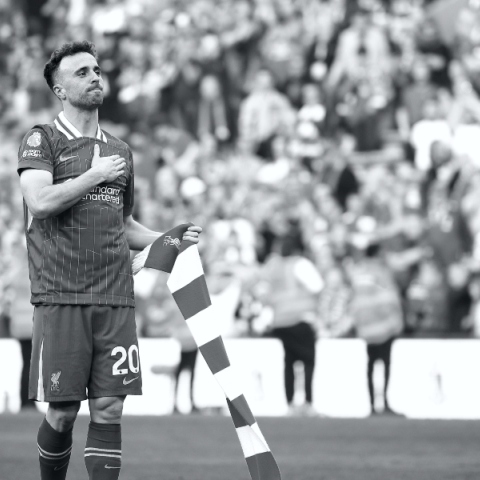 Ντιόγκο Ζότα 