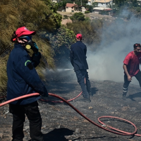 Φωτιά στην Εύβοια