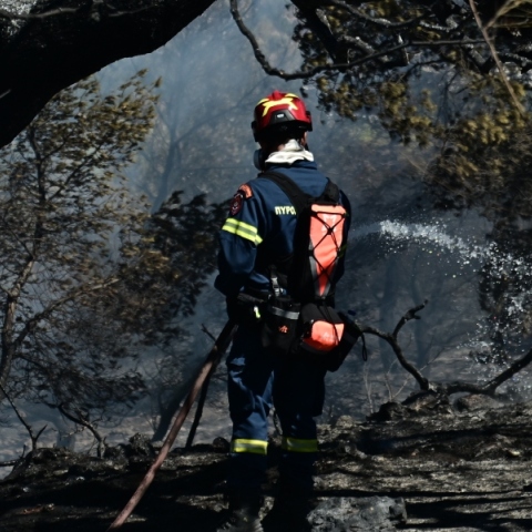 πυρκαγιές, Πυροσβεστική