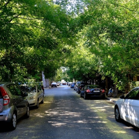 Δήμος Αθηναίων, γειτονια, δρομος, πράσινο, οχηματα