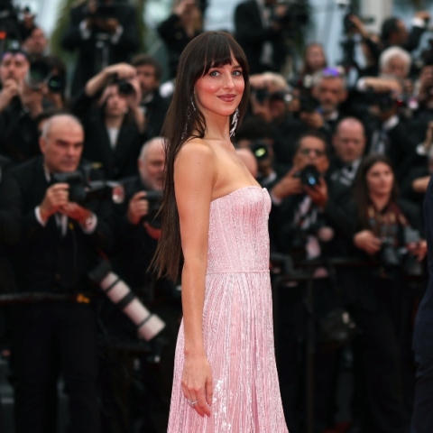 Η Ντακότα Τζόνσον