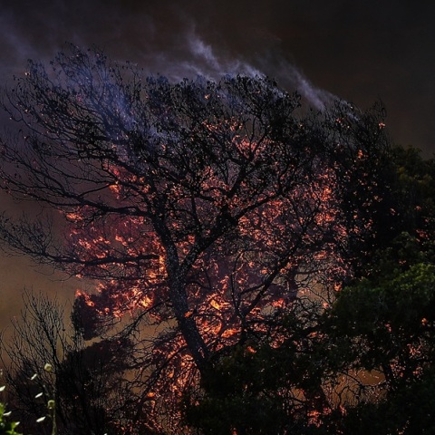 Ακραίος κίνδυνος πυρκαγιάς την Τετάρτη στην Αττική - Οι περιοχές που είναι στο «κόκκινο»