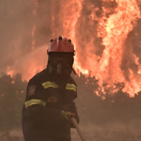 φωτιά, πυροσβεστες, δασος