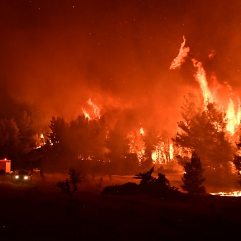 Φωτιά στον Ωρωπό: Ολονύχτια μάχη με τις φλόγες - Βελτιωμένη η εικόνα, ξεκίνησαν ρίψεις νερού από αέρος