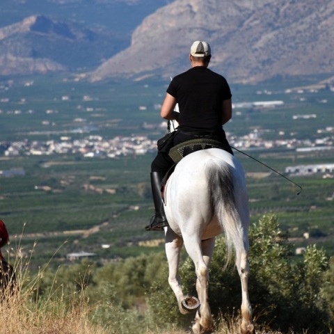 Άλογο τραυμάτισε 5χρονη στη Θάσο σε παραλία – Μεταφέρθηκε στο νοσοκομείο