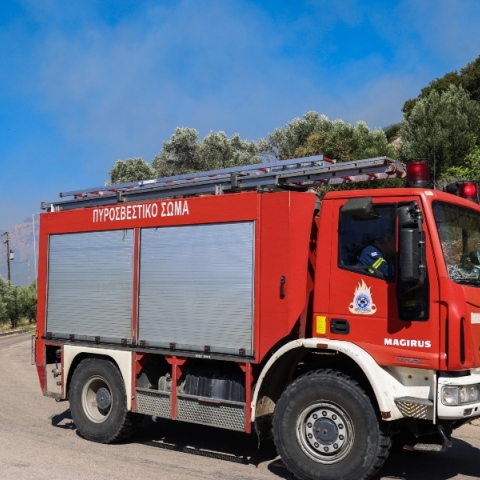 φωτιά, πυροσβεστική 