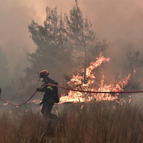 πυρκαγιά, πυροσβεστες