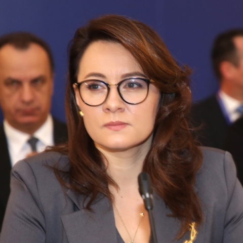 Ουκρανία, Η Γιούλια Σβιριντένκο