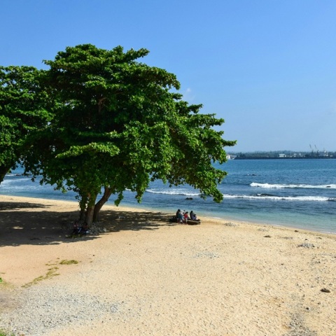 Ποινή φυλάκισης σε τρανς τουρίστρια που περιφερόταν τόπλες σε παραθαλάσσιο θέρετρο