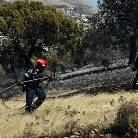 φωτιά, πυροσβεστες, δασος