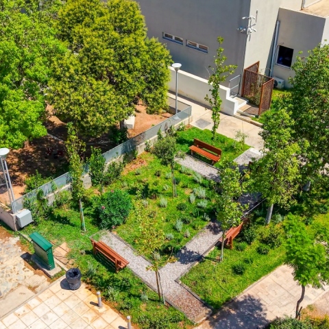 Δήμος Αθηναίων, παρκο, δεντρα