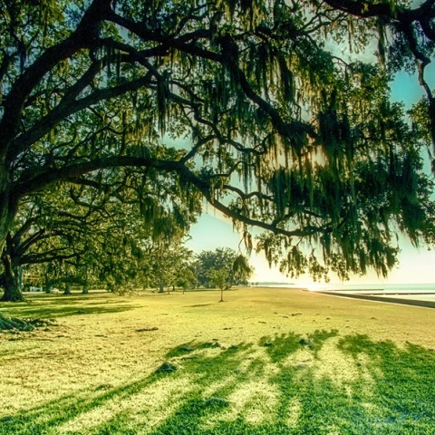 Τραγωδία στις ΗΠΑ: Πατέρας 3 παιδιών πέθανε ενώ προσπαθούσε να σώσει άτομα στη θάλασσα