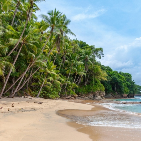 Εορτολόγιο, παραλια
