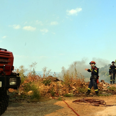φωτιά, πυροσβεστες, δασος