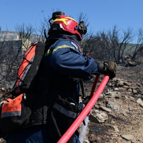 φωτιά, πυροσβεστες, δασος