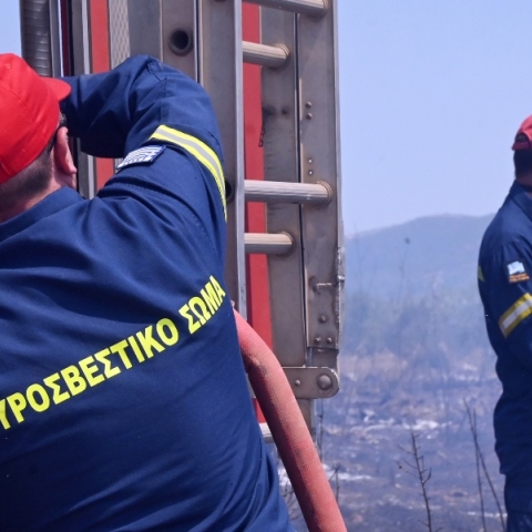 φωτιά, πυροσβεστες, δασος