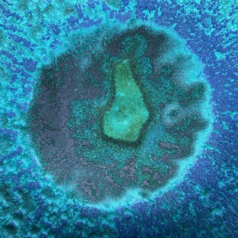 «Σαν ταινία επιστημονικής φαντασίας»: Μωρό γεννήθηκε στις ΗΠΑ από έμβρυο που είχε καταψυχθεί πριν από 30 χρόνια