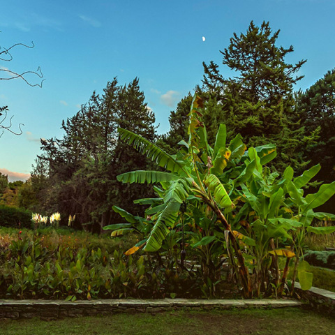 Βοτανικός Κήπος Διομήδους: Εκεί όπου η φύση συναντά τη μνήμη