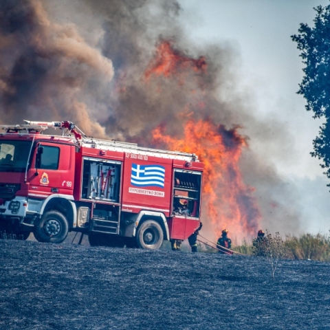 φωτιά, πυροσβεστες, δασος