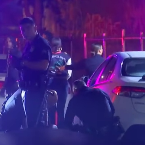 Λος Άντζελες, αστυνομια