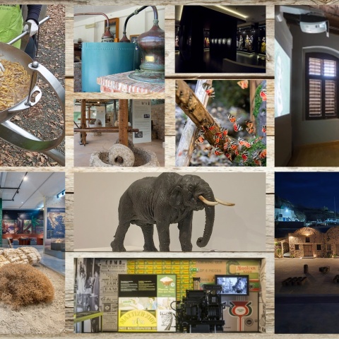 Τα πιο πρωτότυπα μουσεία της Ελλάδας